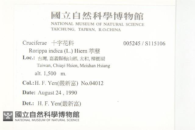 葶藶藏品圖，第2張