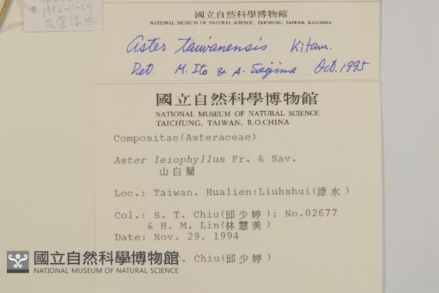 臺灣馬蘭藏品圖，第2張