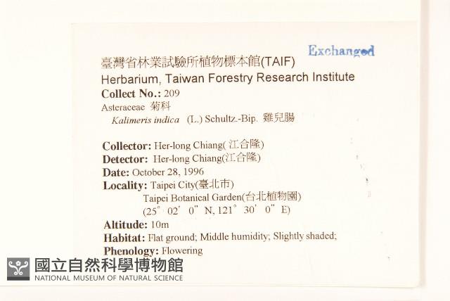 雞兒腸藏品圖，第2張