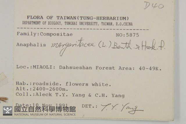 抱莖籟簫藏品圖，第2張