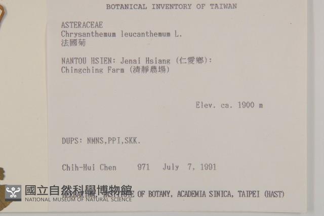 法國菊藏品圖，第2張