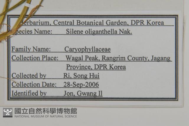 登錄號:S120306藏品圖，第2張