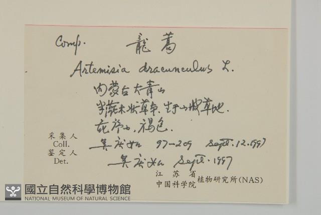 龍蒿藏品圖，第2張