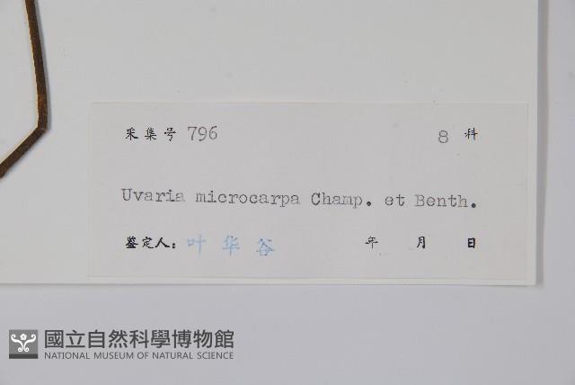 紫玉盤藏品圖，第2張