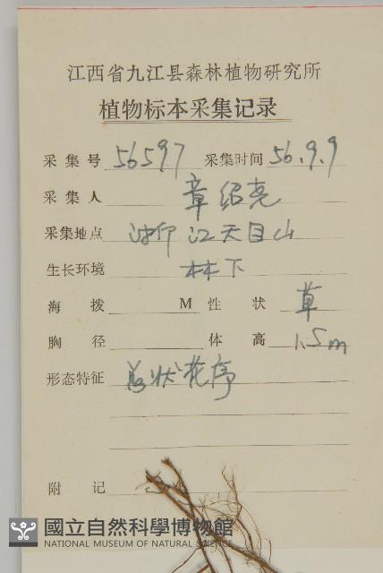 阿里山鬼督郵藏品圖，第2張