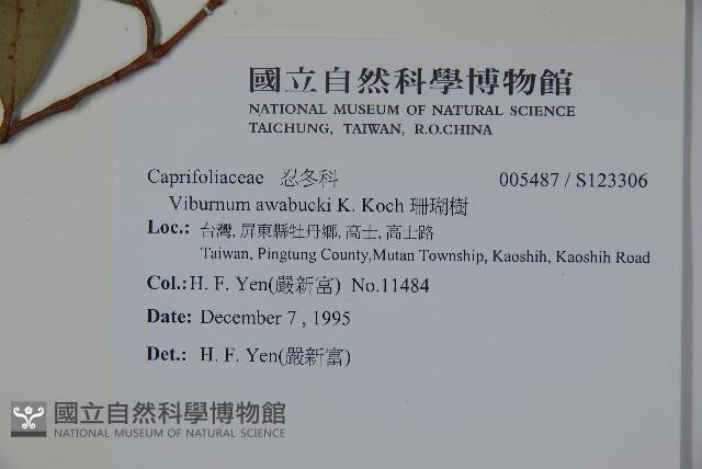 珊瑚樹藏品圖，第2張