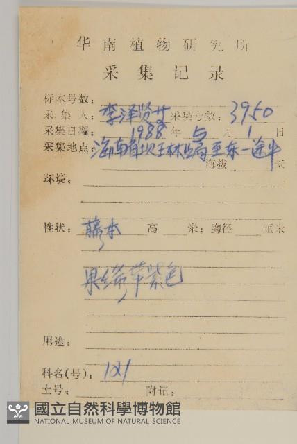 登錄號:S033306藏品圖，第2張