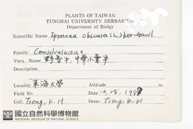 野牽牛藏品圖，第2張