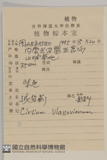 絨背薊藏品圖，第2張