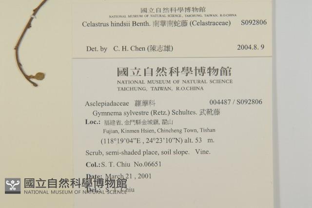 南華南蛇藤，青江藤藏品圖，第2張