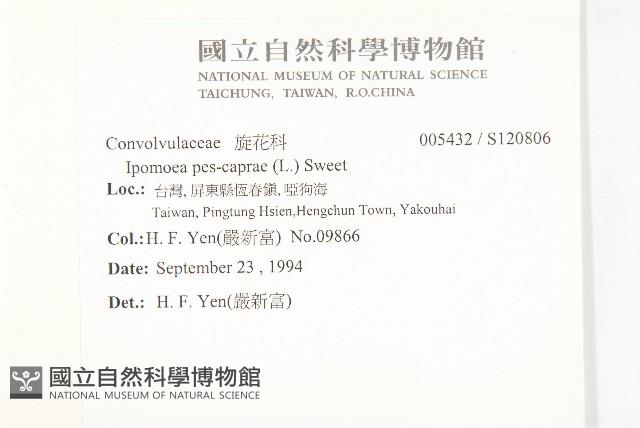 登錄號:S120806藏品圖，第2張