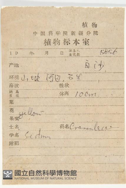 登錄號:S025806藏品圖，第2張