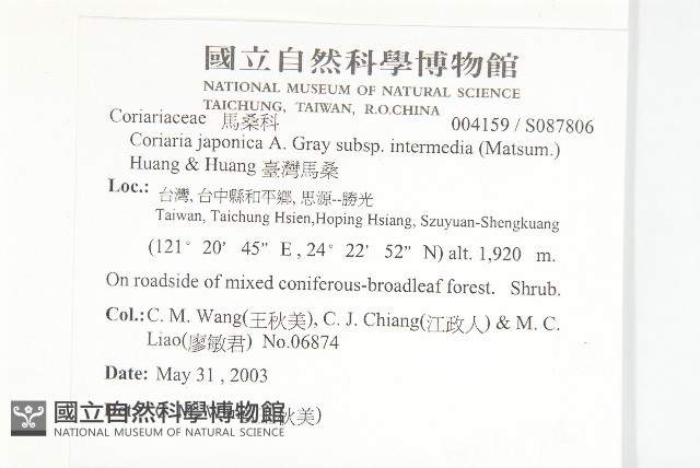臺灣馬桑藏品圖，第2張