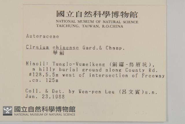 華薊藏品圖，第2張