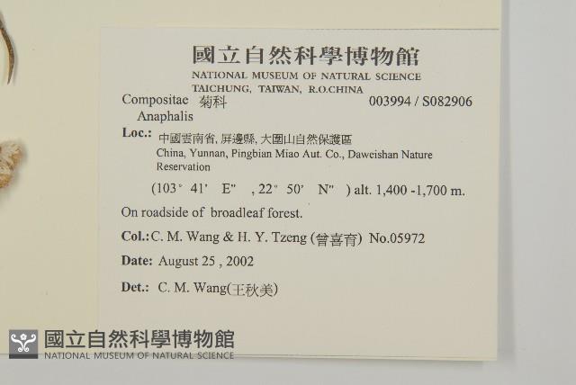 登錄號:S082906藏品圖，第2張