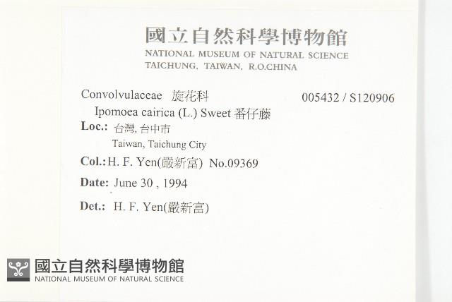 番仔藤藏品圖，第2張