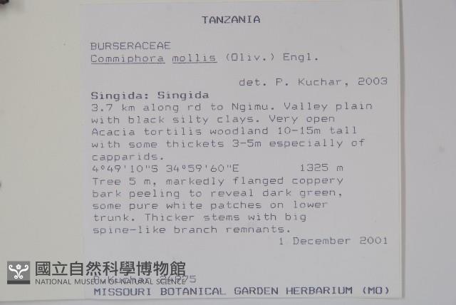 登錄號:S100906藏品圖，第2張