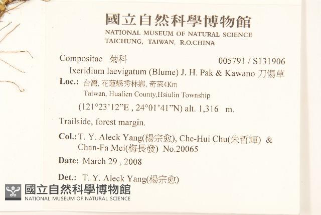 刀傷草藏品圖，第2張