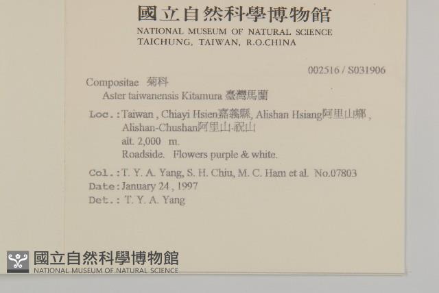 臺灣馬蘭藏品圖，第2張