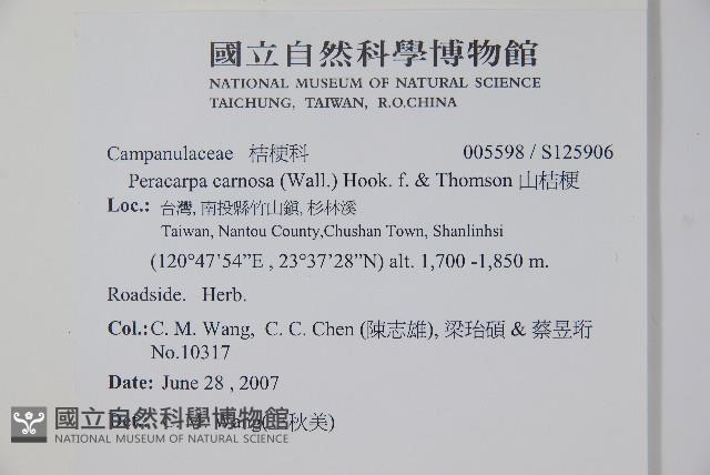 山桔梗藏品圖，第2張