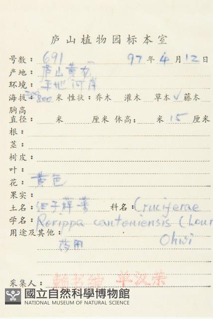 廣東葶藶藏品圖，第2張