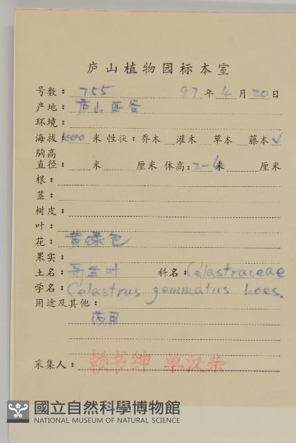 哥蘭葉藏品圖，第2張