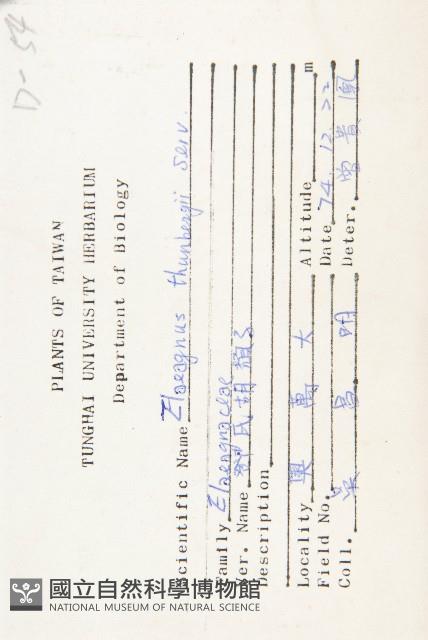 鄧氏胡頹子藏品圖，第2張