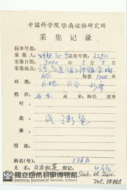 薯豆藏品圖，第2張