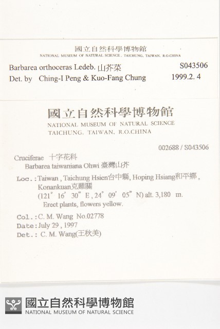 山芥菜藏品圖，第2張