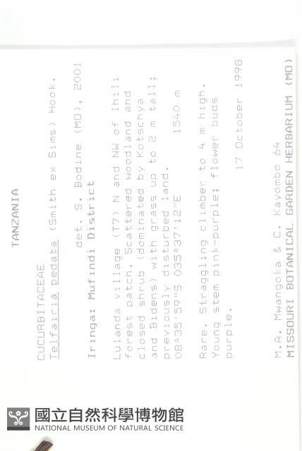 干貝堅果藏品圖，第2張