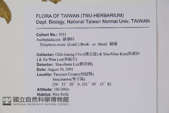 鷗蔓藏品圖，第2張