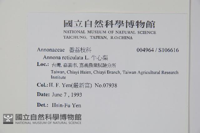 牛心梨藏品圖，第2張