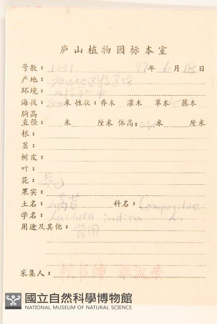 鵝仔草藏品圖，第2張