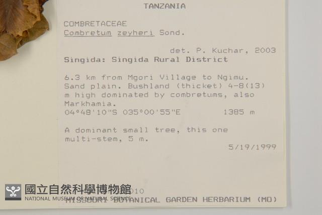 登錄號:S093616藏品圖，第2張