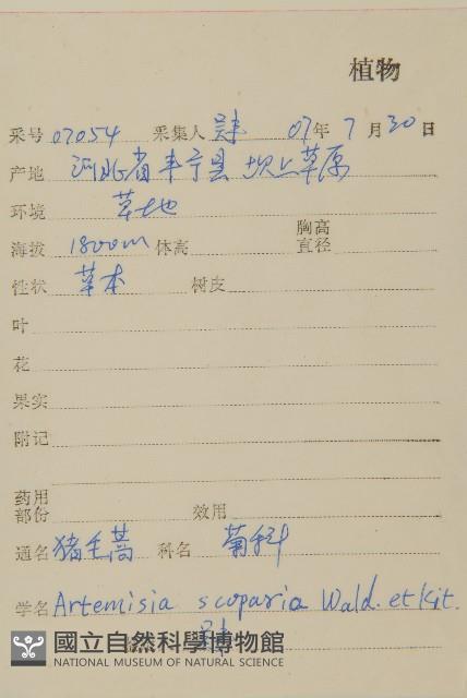 黃蒿藏品圖，第2張