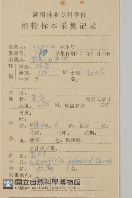 牡蒿藏品圖，第2張