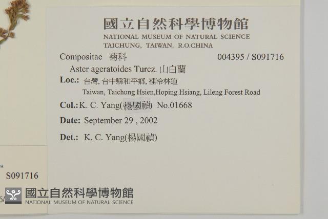 臺灣馬蘭藏品圖，第2張