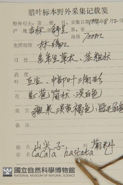 山尖子藏品圖，第2張