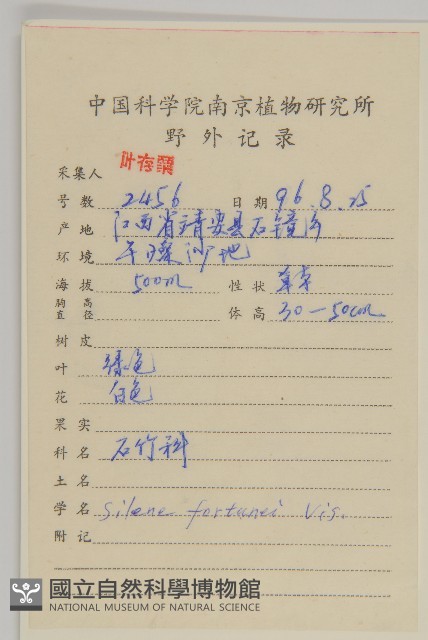 蠅子草藏品圖，第2張