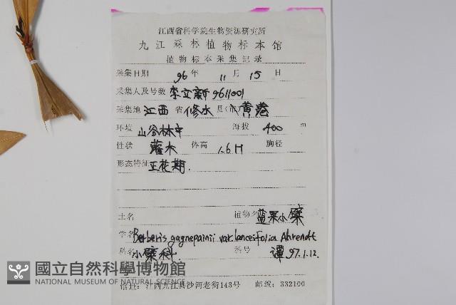 安徽小蘗藏品圖，第2張