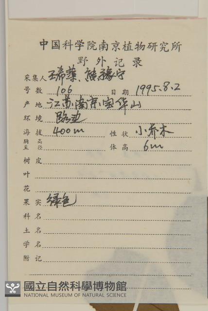 白杜藏品圖，第2張