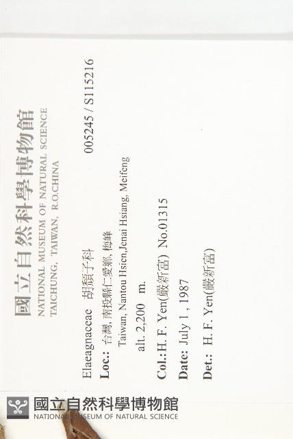 登錄號:S115216藏品圖，第2張