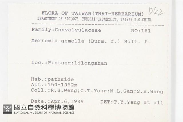 菜欒藤藏品圖，第2張