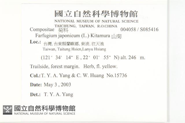 山菊藏品圖，第2張