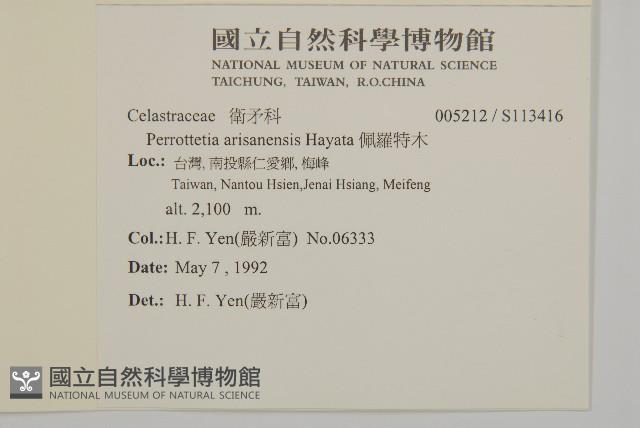 佩羅特木藏品圖，第2張