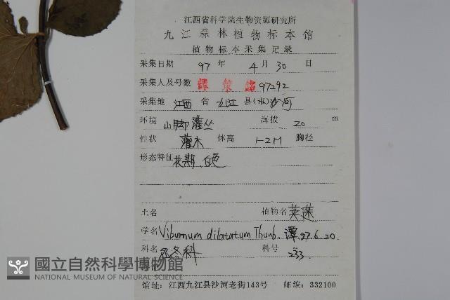 莢迷藏品圖，第2張