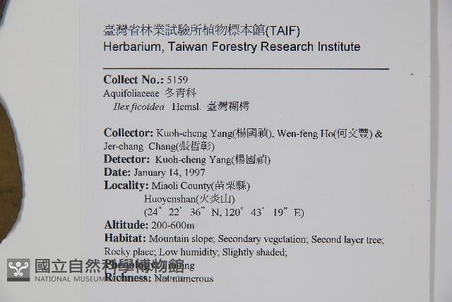 臺灣糊樗藏品圖，第2張