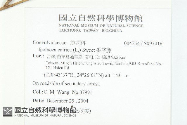 番仔藤藏品圖，第2張