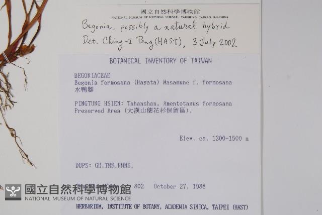 登錄號:S026116藏品圖，第2張