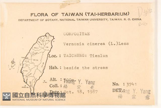 一枝香藏品圖，第2張